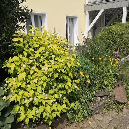 Lägenhet 100 Co₂ Neutraler Aufenthalt In Der Ferienwohnung Herscheid